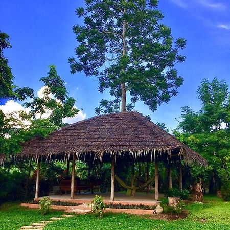Chiang Dao Hostel Kültér fotó