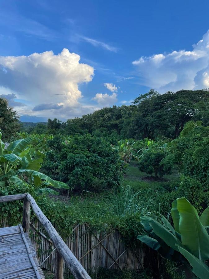 Chiang Dao Hostel Kültér fotó