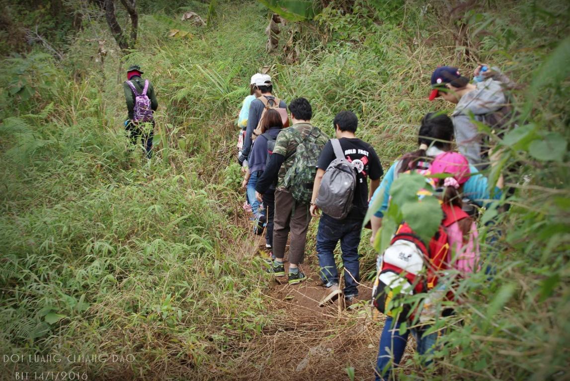 Chiang Dao Hostel Kültér fotó