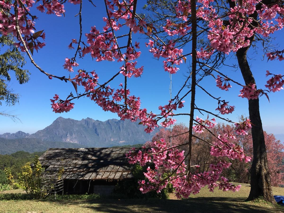 Chiang Dao Hostel Kültér fotó