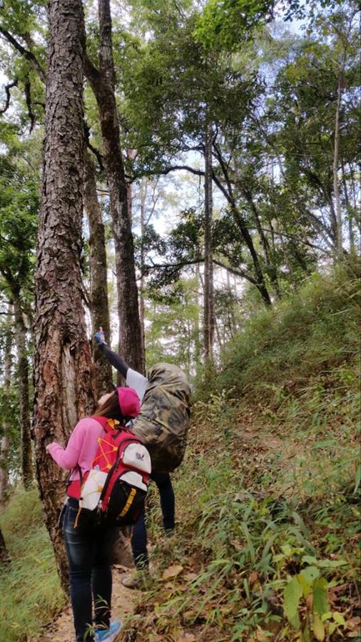 Chiang Dao Hostel Kültér fotó